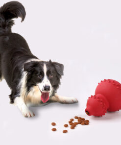 Interactive Dog Treat Dispensing Toy
